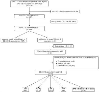 Acute kidney disease following COVID-19 vaccination: a single-center retrospective study